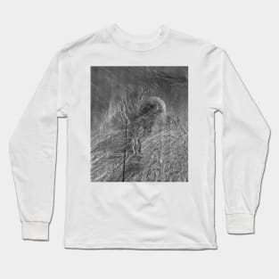 NASA Venus: Lakshmi Planum Long Sleeve T-Shirt